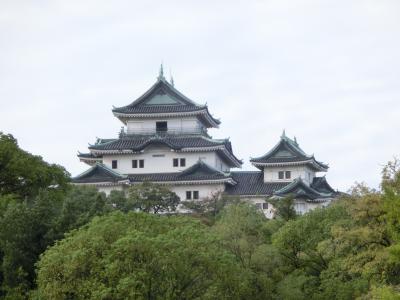 Wakayama Castle