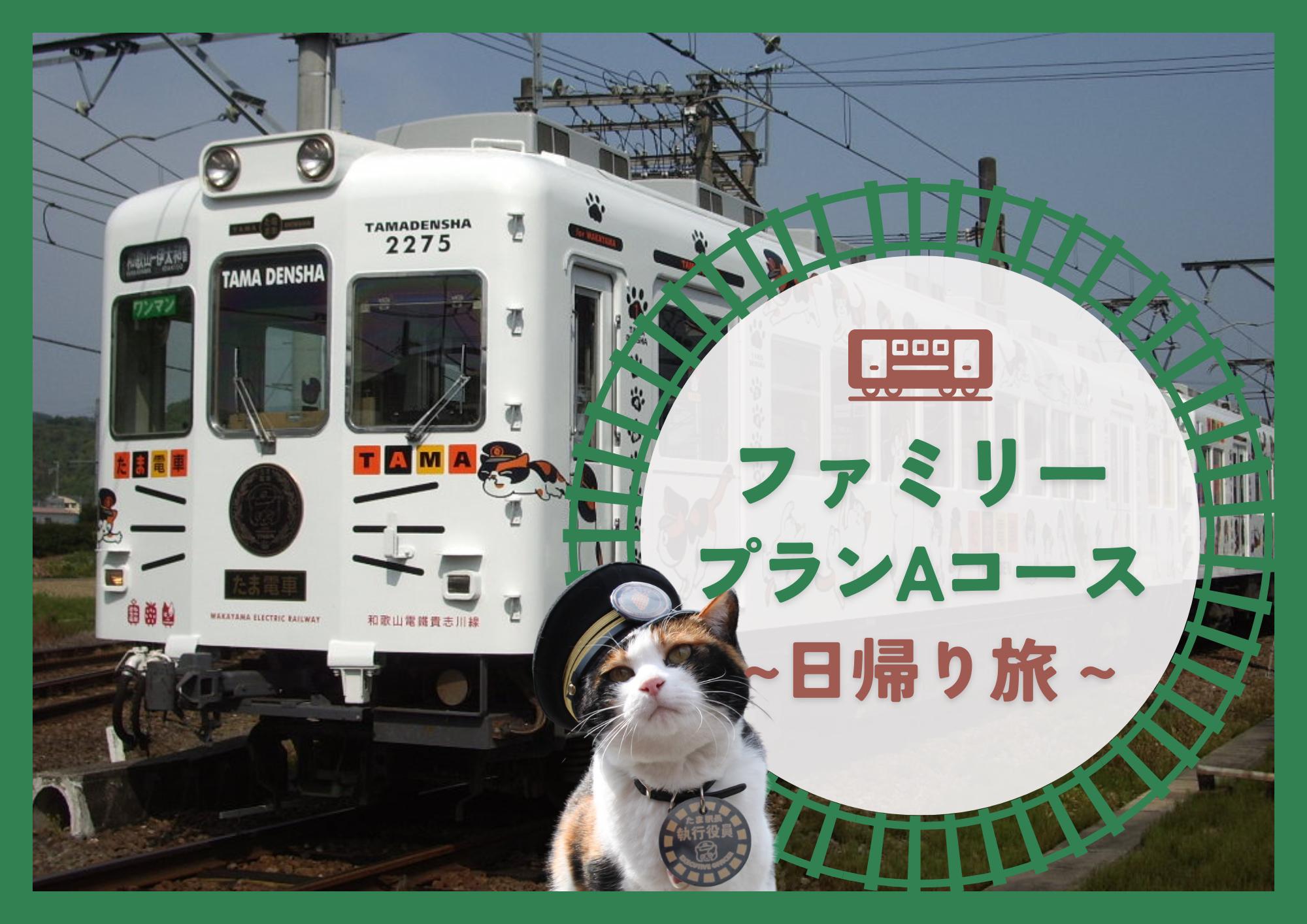 【わかやまあそび公式ツアー】ファミリープランAコース